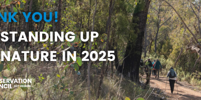 2025 in Review