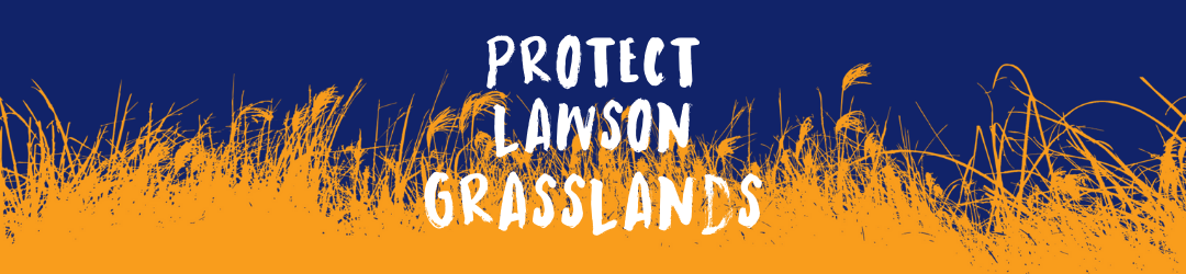 Call on Defence Housing Australia to stop suburban development over endangered grasslands in the ACT