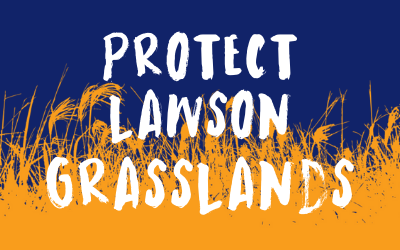 Environment Exchange: Lawson North Grasslands