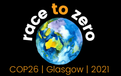 Race to Zero – email the PM!