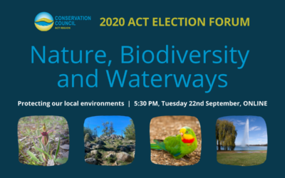 Election Forum: Nature, Biodiversity and Waterways