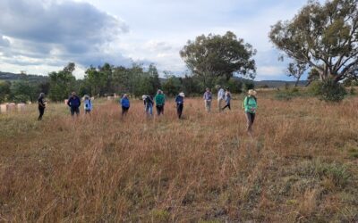 The future of ‘Patch GG’ – an environmental offset site zoned for future development?
