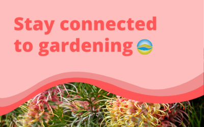 Stay connected to gardening