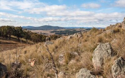 Latest Progress on the Biodiversity Network