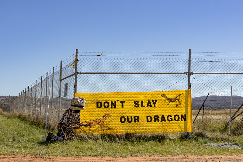 Image by Hedda Murray