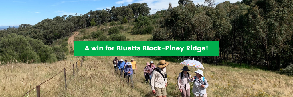 A Win for Bluetts Block-Piney Ridge!