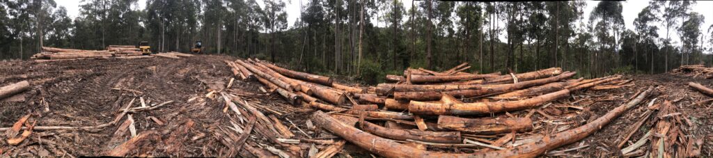 Active log dump - Boyne SF comp. 108