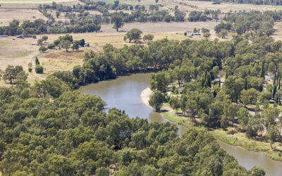 Bold reset required as 10 year review of the Basin Plan kicks off