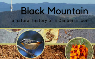 New book celebrates natural history of Canberra icon