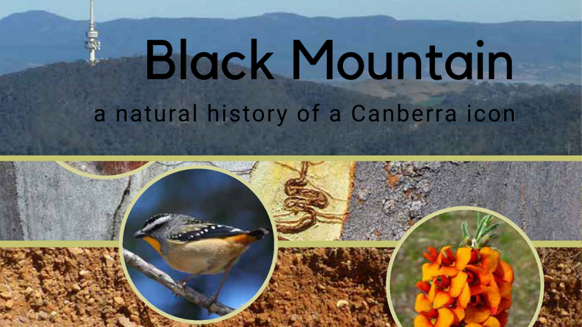 New book celebrates natural history of Canberra icon