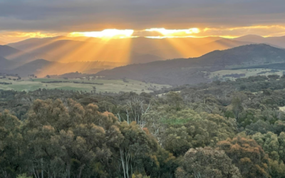 Conservation Council welcomes decision to place 2/3rds of Bluetts Block into a nature reserve, calls on ACT Government to do more to protect this area