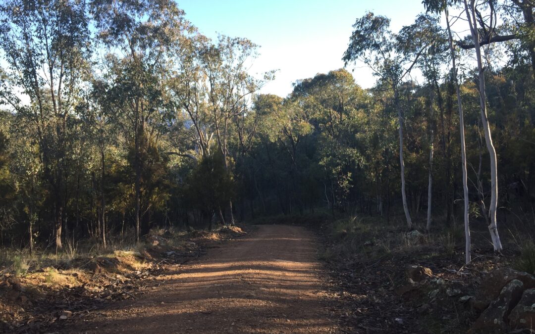 Bluett’s Block – a biodiversity gem!