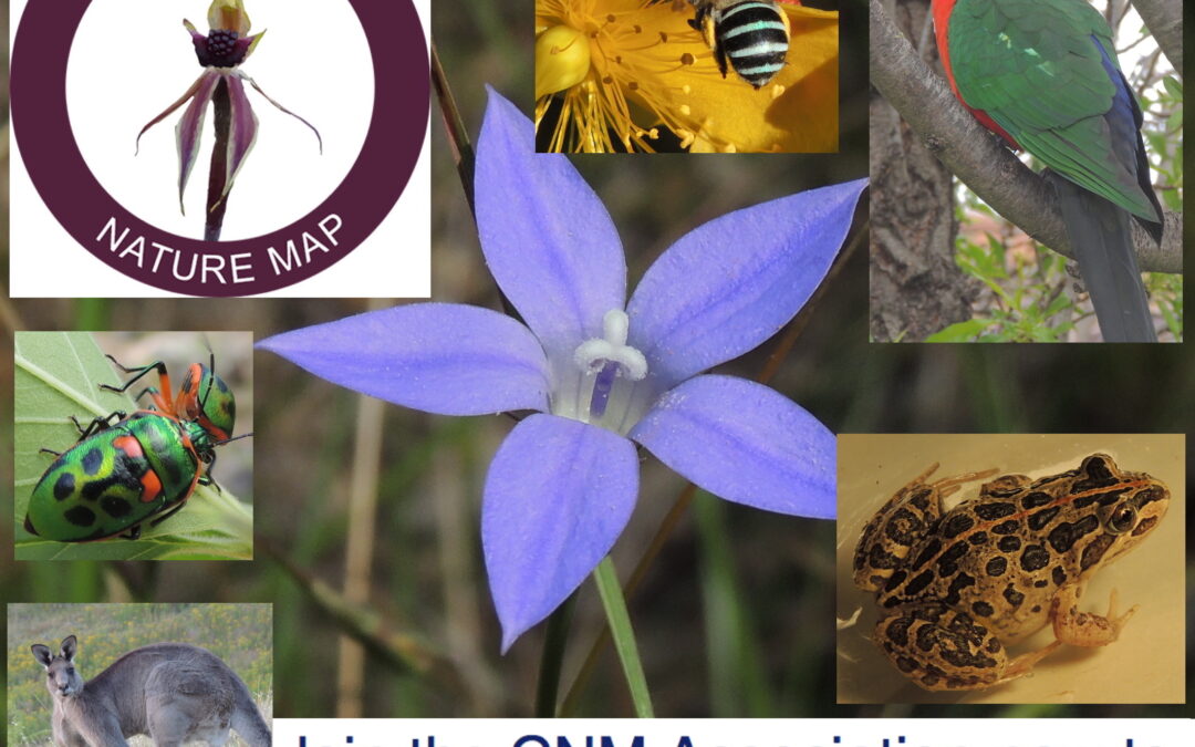 GOOD NEWS – NATUREMAPR IS NOT CLOSING DOWN AND WILL CONTINUE