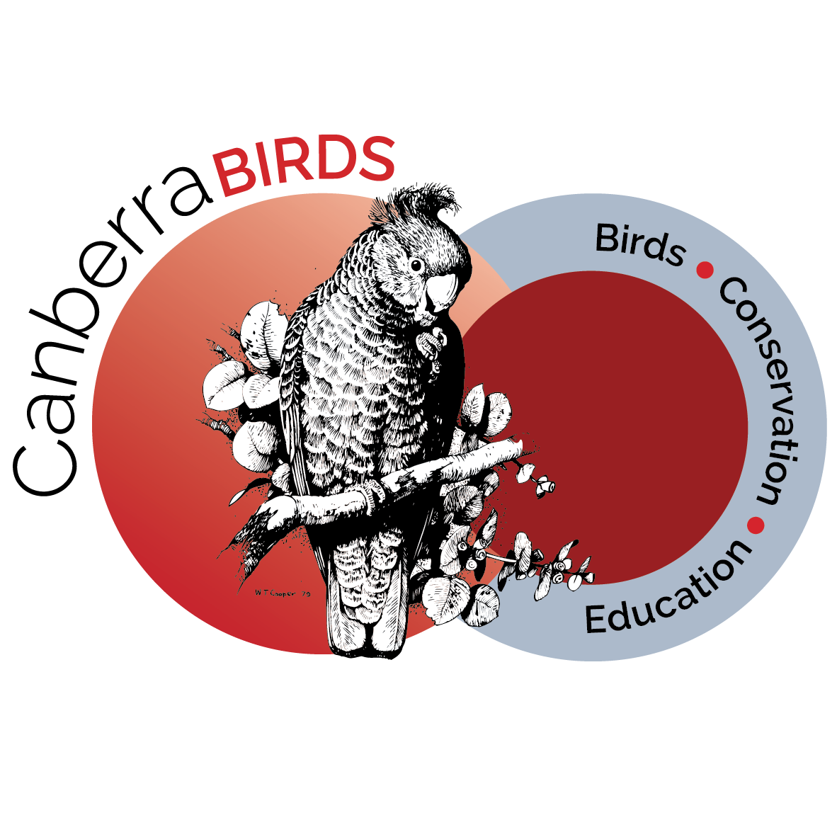 Canberra-Birds-logo