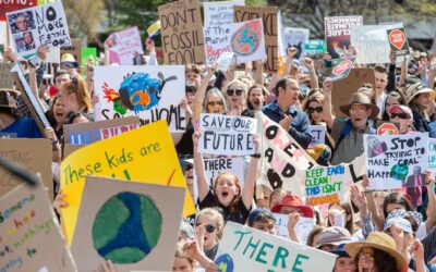 Conservation Council Calls for Action to Match Ambition in New ACT Climate Strategy