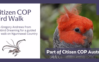 Bird Walk Canberra – Citizen COP 2026