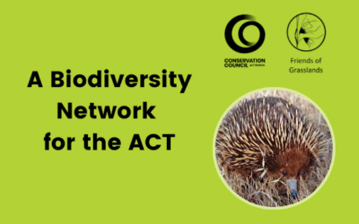 A Biodiversity Network for the ACT