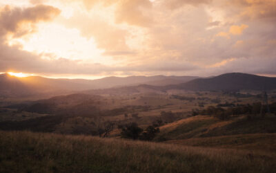Conservation Council launches positive vision for future of the Western Edge