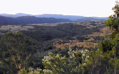 Have your Say on a Nature Positive Future for the ACT
