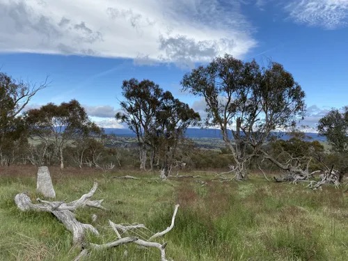 Kama Nature Reserve