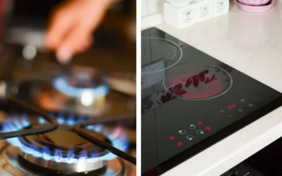 Conservation Council strongly supports a just transition off fossil fuel gas in the ACT
