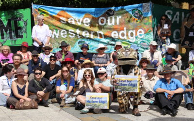 One year of the Save our Western Edge! campaign