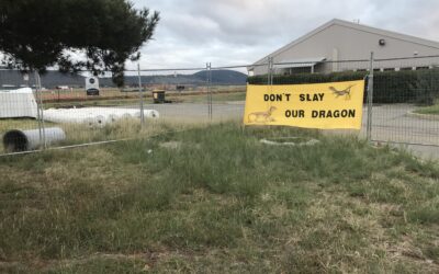 Tanya Plibersek – Stop the destruction of the Canberra Grassland Earless Dragon habitat!