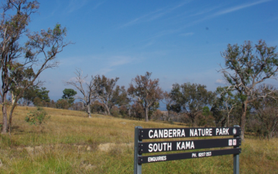 Putting the squeeze on Canberra’s nature