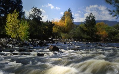 Water Governance In The ACT (and NSW)