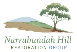 Narrabundah Hill Restoration Group