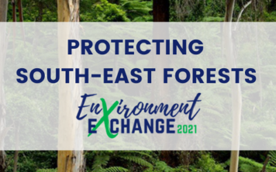 Environment Exchange: Protecting the south-east forests of NSW