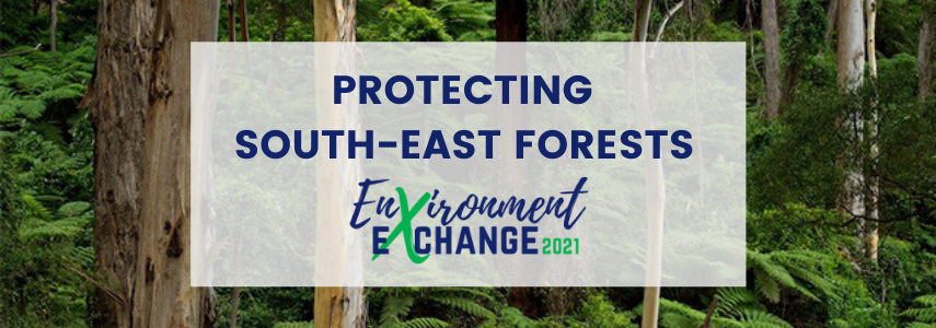 Environment Exchange: Protecting the south-east forests of NSW