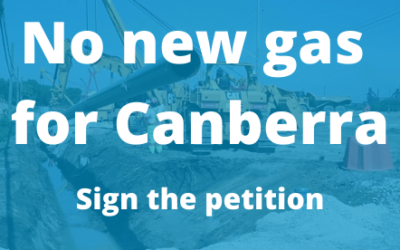 MEDIA RELEASE: Government wastes opportunity for ambitious gas phase-out