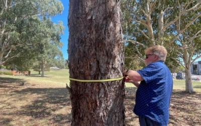 Canberra’s Bus Stops & Citizen Science