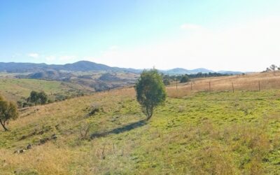 ACT Government proposes recycling facility and bulk landscape supply uses in the Western Edge Investigation Area. Make your written comment by 3 August 2026.