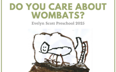 Do You Care About The Wombats? Our Pre-schoolers Certainly Do And Here’s Why!
