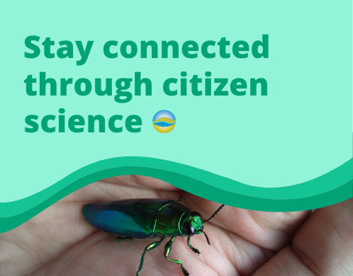 Stay connected through citizen science