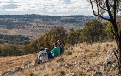 Community wins after Government protects Coombs Peninsula and adds further protection to Bluetts Block