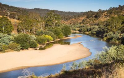 Media Release: A Healthier Upper Murrumbidgee On The Way!