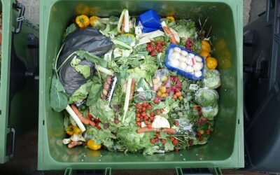 Why ALL of Canberra needs a FOGO recycling scheme