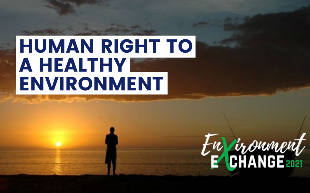 Human Right to a Healthy Environment: Environment Exchange