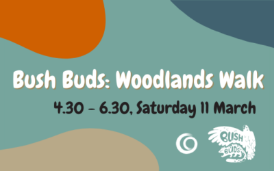 Bush Buds: Woodlands Walk