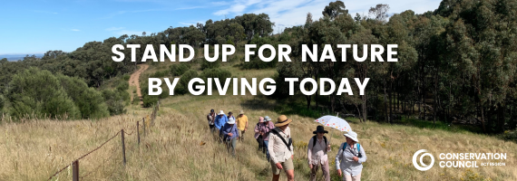 STAND UP FOR NATURE BY GIVING TODAY