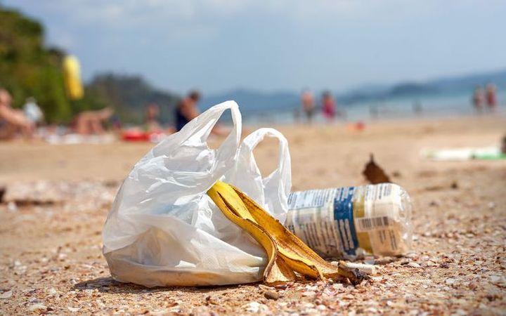 Australian Environment Ministers – phase out plastic bags!
