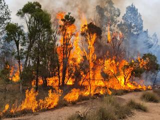 Conservation Council of the ACT Submission on Developing a new Climate Change Strategy for the ACT Discussion Paper