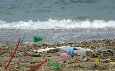 We need to rethink plastics in the ACT