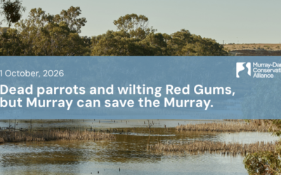 Murray-Darling Conservation Alliance: Dead parrots and wilting Red Gums, but Murray can save the Murray