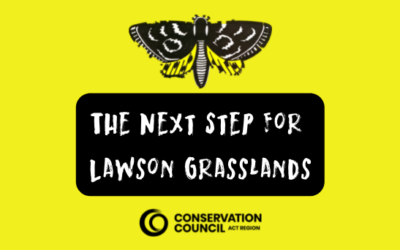The Next Step for Lawson Grasslands
