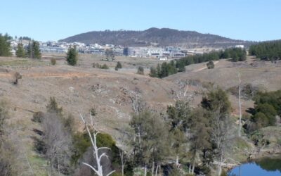 Canberra’s Western Edge: the new urban development frontier