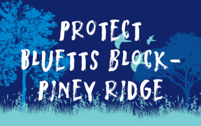 Protect Bluetts Block as a Nature Reserve